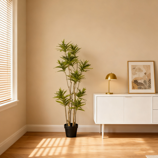 DRACAENA Tree with Pot